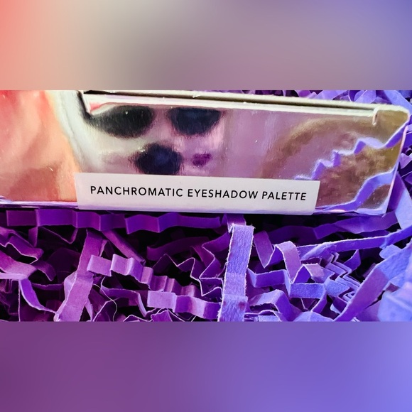 NIB Belle En Argent Panchromatic Palette - Nude Intuitive Vision - Picture 5 of 5